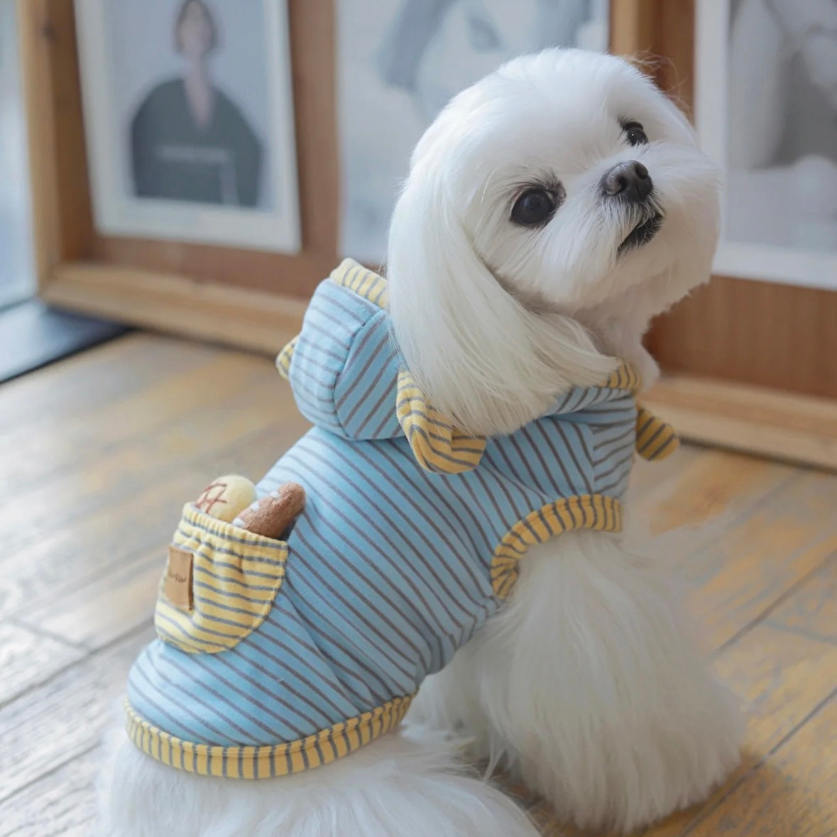 【予約販売】くま耳ノースリーブパーカー