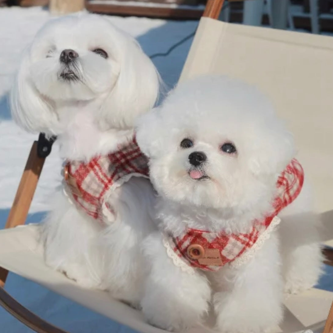 【予約販売】雪の妖精　マント＆ワンピース