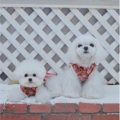 【予約販売】雪の妖精　マント＆ワンピース