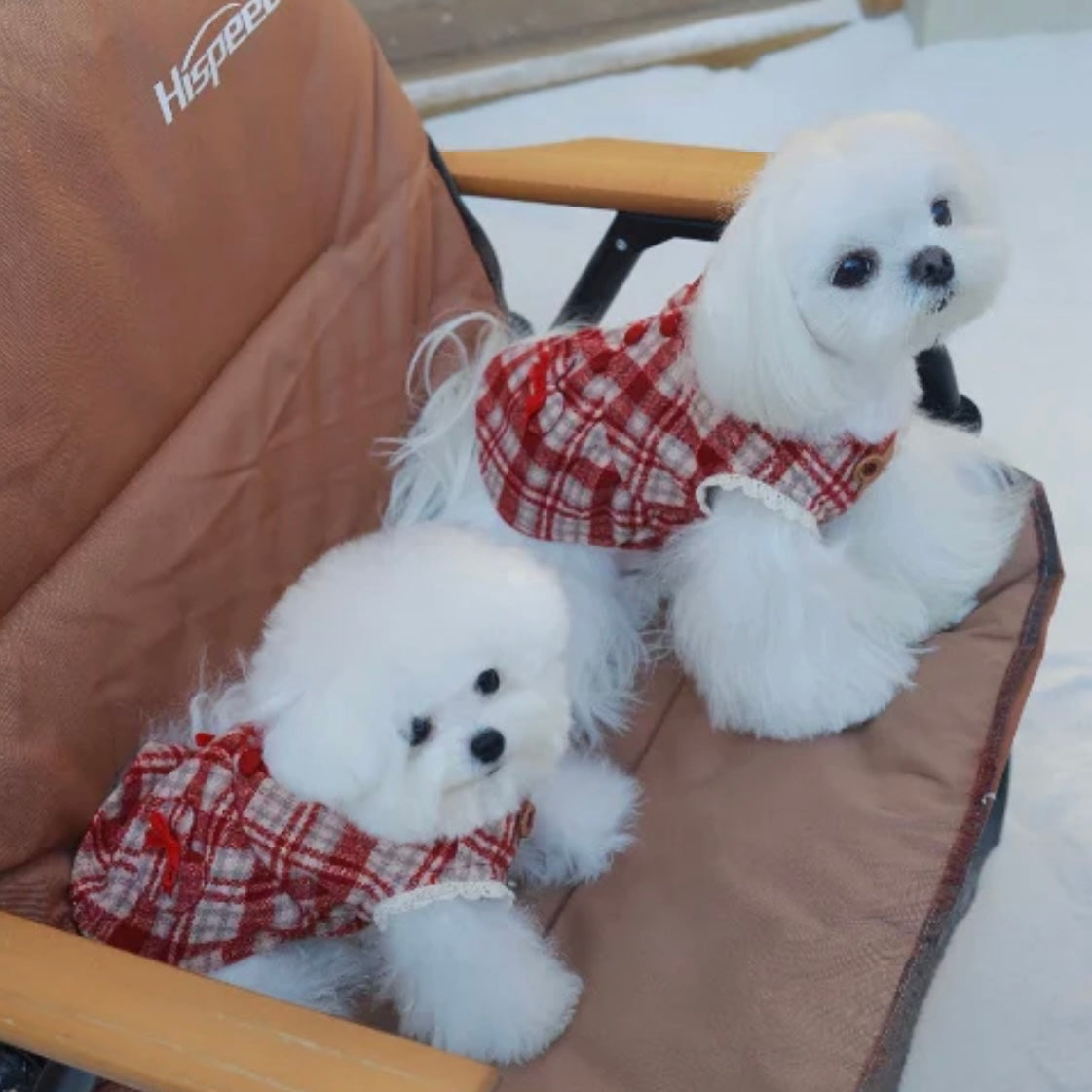 【予約販売】雪の妖精　マント＆ワンピース