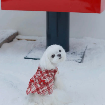 【予約販売】雪の妖精　マント＆ワンピース