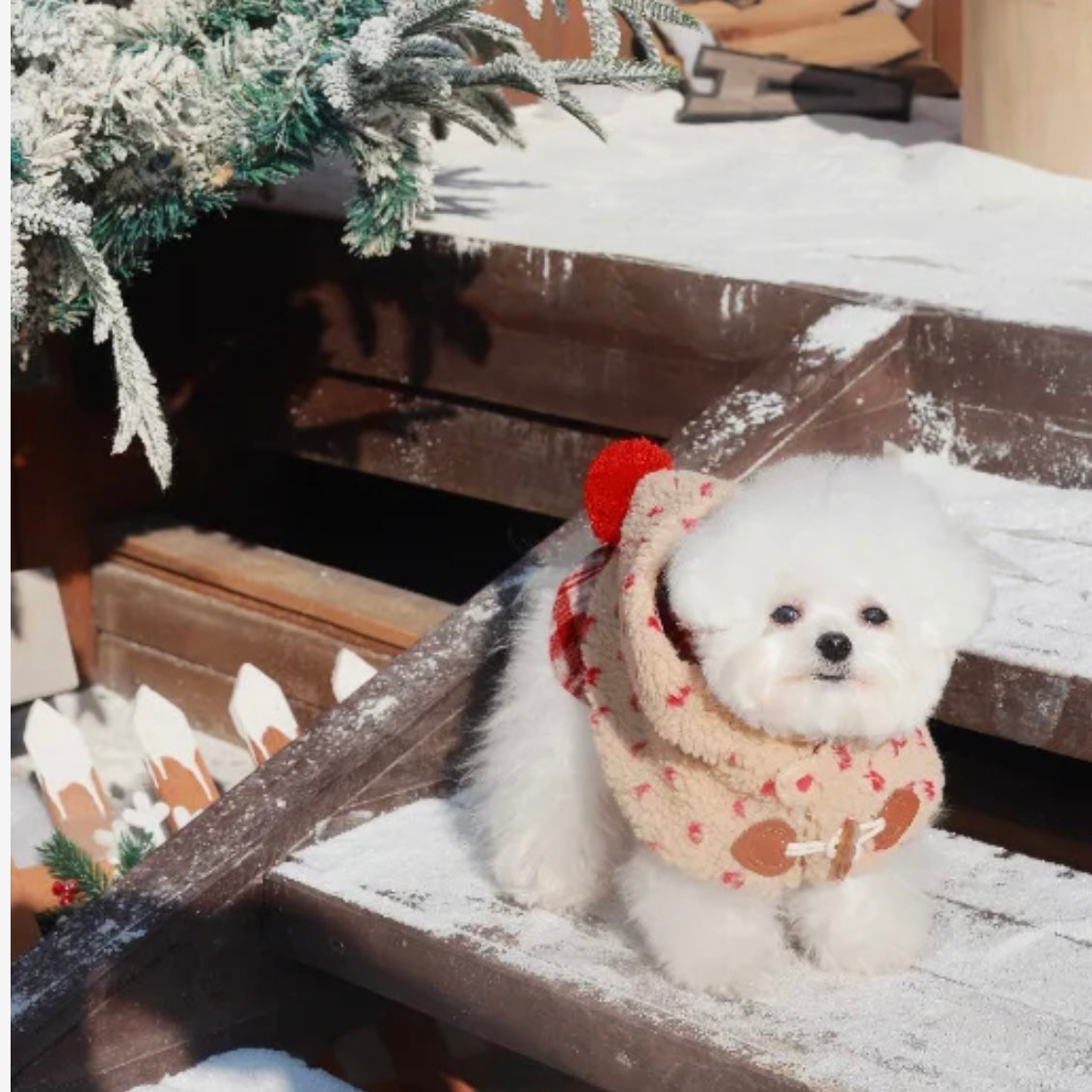 【予約販売】雪の妖精　マント＆ワンピース