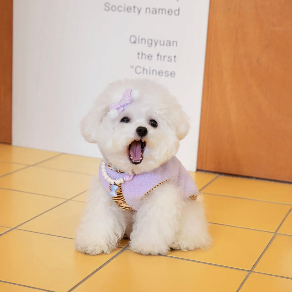 【予約販売】美味しそうなボアフードパーカー