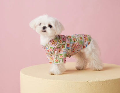 〜11kgまで｜犬服｜兎柄チェックシャツ