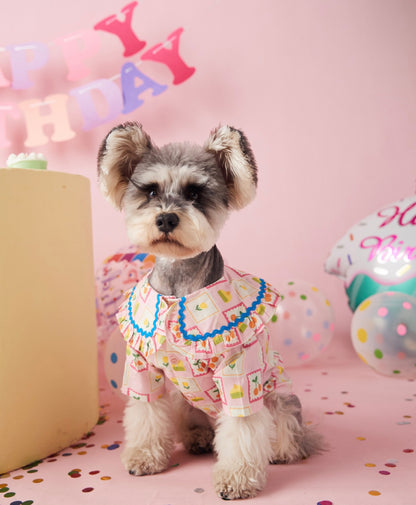 〜11kgまで｜犬服｜チェリー柄チェックシャツ